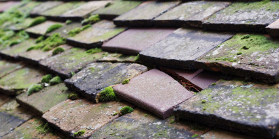 Old Weston roof repair costs